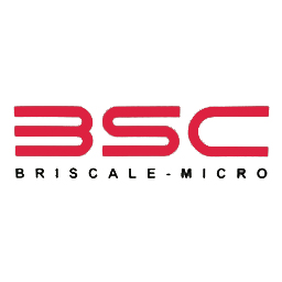 BriScale Model